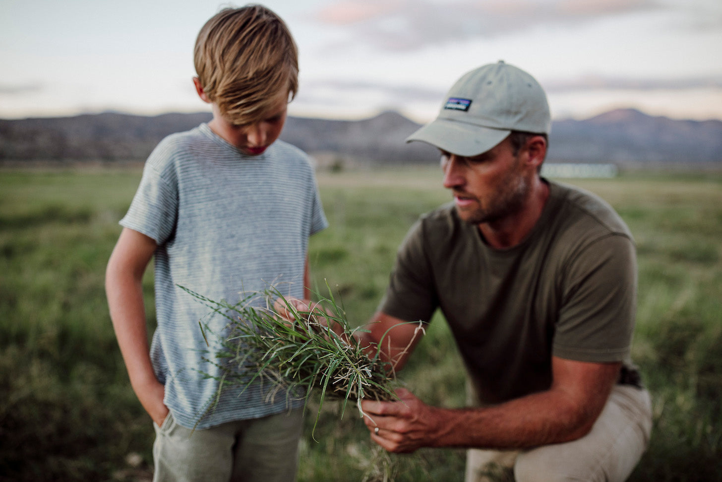 does-pasture-raised-really-mean-what-you-think-pasturebird